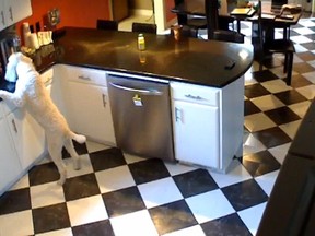 Maddie the poodle is caught raiding the kitchen in this surveillance video. (Rob Whent/Special to The Star)