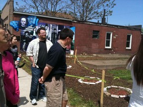 Jane's walkers check out the Ford City Community Garden