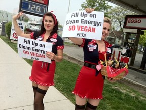 PETA demonstrators Emily Lavender (L) and Brandi Dugal (R) wave at traffic by the Esso station at 824 Wyandotte St. East in Windsor, Ont. on May 2, 2012. (Dalson Chen / The Windsor Star)
