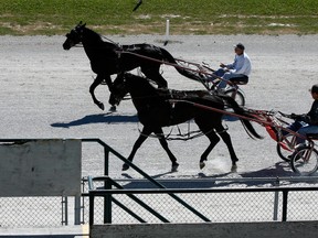 Harness horsemen Dominic De Santis, left, and Rod Duford prepare for live racing at Leamington Fair June 13, 2012. (NICK BRANCACCIO/The Windsor Star)