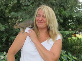 Kingsville resident Sheri Erwin is raising a grey squirrel she has named Dale. Dale was a newborn when a family friend found him abandoned at the base of a tree near Lake Erie. (The Windsor Star-Sarah Sachelli)