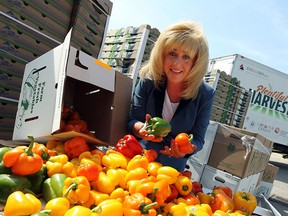 June Muir, CEO of the Unemployment Help Centre, looks over fresh produce during the kickoff of the Plentiful Harvest at the Unemployment Help Centre in Windsor, Ont., on Tuesday, July 17, 2012. (Windsor Star files)