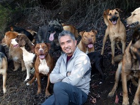 Cesar Millan, star and host of the National Geographic reality television show Dog Whisperer, is shown in this promotional image.