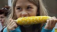 In this file photo, Nicole Maier, 9, enjoys a cob of corn along with her grandparents Wilhelm and Nessie Maier and her sisiter Jessica, 12, during Tecumseh Corn Festival at Lacasse Park in Tecumseh, Ont., Sunday Aug. 30, 2009. (NICK BRANCACCIO / The Windsor Star)