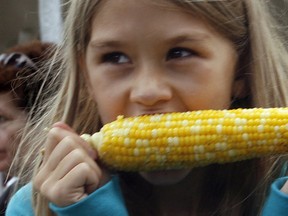 In this file photo, Nicole Maier, 9, enjoys a cob of corn along with her grandparents Wilhelm and Nessie Maier and her sisiter Jessica, 12, during Tecumseh Corn Festival at Lacasse Park in Tecumseh, Ont., Sunday Aug. 30, 2009. (NICK BRANCACCIO / The Windsor Star)