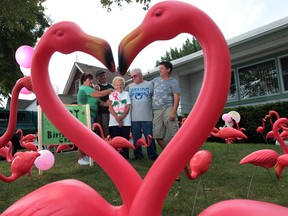 96-year-old Gladys Henri, centre is all smiles as family members Deborah Blythe, left, (granddaughter), Shaun Blythe (great-grandson), William Henri (son) and Glen Blythe (grandson), celebrate her 96th birthday on July 30, 2012 in Windsor, Ont. Here, family placed 96 pink flamingo ornaments on her front lawn. (JASON KRYK/ The Windsor Star)