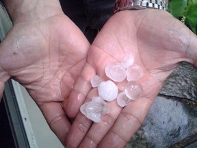 Scott Colasanti holds chunks of hail which fell on Kingsville on Sunday, July 1, 2012. (ELISE WILL/For the Windsor Star)