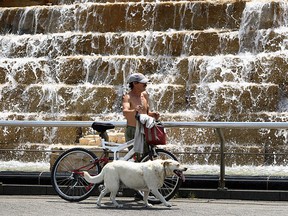 A resident and his dog try to cool off by the fountain at Caesars Windsor in Windsor, Ont. on July 17, 2012. (Tyler Brownbridge / The Windsor Star)