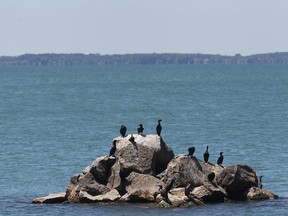 A scene off the shores of Pelee Island is shown in this June 2012 file photo. (Dan Janisse / The Windsor Star)
