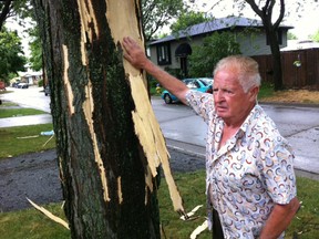 Bill Stephens stands next to a tree where a lightning bolt struck on Heathfield Court in east Windsor on Tuesday, July 3, 2012. (NICK BRANCACCIO/The Windsor Star)