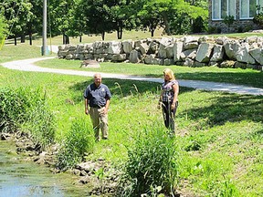 Dan Wood, manager of parks and recreation in Kingsville, Ont., and Corrie Gabriele, manager of municipal services, inspect on June 26, 2012, the bank of Lakeside Park's Mill Creek where someone has mowed down the riparian buffer planted by volunteers to improve the health of the waterway. (The Windsor Star -Sarah Sachelli)