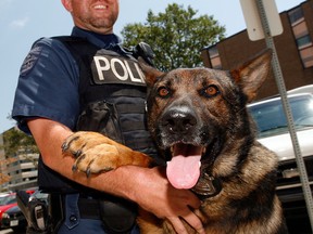 Windsor Police Constable Chris Lauzon with award-winning K9 Aron at headquarters August 3, 2012. (NICK BRANCACCIO/The Windsor Star)
