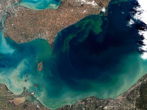 An algae bloom is shown in Lake Erie  in August, 2012. (Courtesy of NASA)