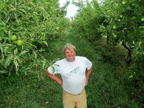 In this file photo, Harold Wagner, of Wagner Orchards and Estate Winery, stands in a row of  apples trees on his farm in Lakeshore on Friday, Aug. 10, 2012. (Monica Wolfson/The Windsor Star
