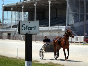 Harness horsemen Greg Price takes Cams Matters for a training jog around Leamington Fairgrounds Wednesday, June 13, 2012. (NICK BRANCACCIO/The Windsor Star)