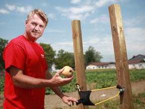 Tom Maleg, co-owner of Maleg's Lakeview Orchard in Kingsville, Ont., prepares to launch a discarded potato with a slingshot that is featured at his farm, Thursday, Aug. 2, 2012. Co-owners, Tom and John Maleg, are trying to diversify their business by venturing into agritourism. (DAX MELMER/The Windsor Star)