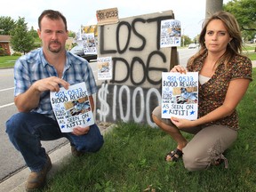 Forest Glade residents Jason and Kelly Lariviere hold up signs and flyers offering a $1,000 reward for the return of their beloved dog, Ally. Photographed Aug. 16, 2012. (Dan Janisse / The Windsor Star)