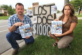 Forest Glade residents Jason and Kelly Lariviere hold up signs and flyers offering a $1,000 reward for the return of their beloved dog, Ally. Photographed Aug. 16, 2012. (Dan Janisse / The Windsor Star)