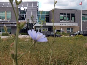 The David Suzuki Public School in Windsor, along with King Edward and Begley are looking for volunteers  to lend a hand with its new school readiness program. (Windsor Star files)