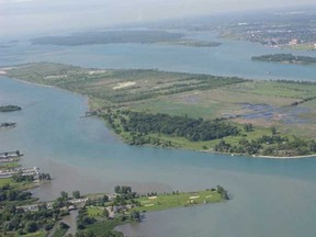 Fighting Island in the Detroit River (Courtesy of BASF)