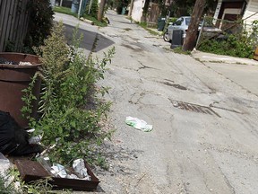 An alley in the Walkerville area of Windsor, Ont. is shown in this Sept. 24, 2012 photo. (Tyler Brownbridge / The Windsor Star)