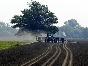 Pulling a 12-row vacuum feeder behind his John Deere tractor, Larry Willis Jr. plants feed corn on a 86-acre field in this file photo. (NICK BRANCACCIO/The Windsor Star)