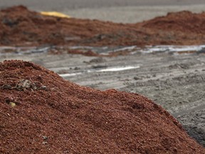 File photo of piles of waste from a produce processing plant  that was dumped on property close to residences on Mersea Road 6 on  Nov. 13, 2011.  (DAX MELMER/The Windsor Star)