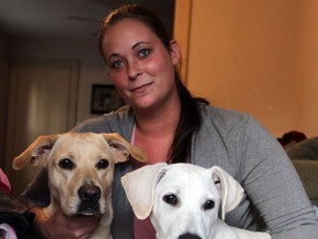 Nikki Mullins with her dogs, Marley, left, and Buster, Marley's puppy,  on Oct. 9, 2012, after Buster was returned from a previous owner who has been charged by police with injuring an animal and a drug charge.. (NICK BRANCACCIO/The Windsor Star)