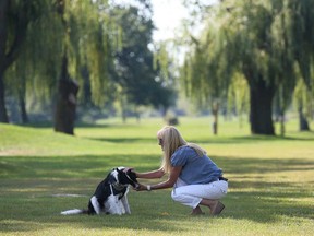 In this file photo, Kim Lansens plays fetch with her dog Snoopy at the former Lakewood Golf course in Tecumseh, Ont. The municipality is seeking input on the development of the former golf course.  (DAN JANISSE/ The Windsor Star)
