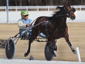 In this file photo,  a horse is taken through its paces at Windsor Raceway. The Lakeshore Horse Racing Association has taken the next step toward garnering a licence to contest live harness racing at Leamington Raceway. (Windsor Star files)