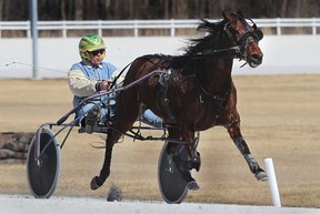 In this file photo,  a horse is taken through its paces at Windsor Raceway. The Lakeshore Horse Racing Association has taken the next step toward garnering a licence to contest live harness racing at Leamington Raceway. (Windsor Star files)