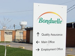 The Bonduelle food packaging plant in Tecumseh is shown in this 2011 file photo. (Tyler Brownbridge / The Windsor Star)