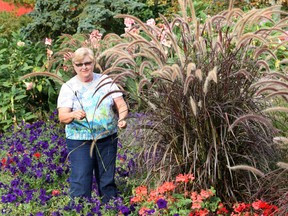 Juliette St. Pierre uses rubrum grass to decorate her Lakeshore home in the fall season. St. Pierre is the co-ordinator of the Essex-Windsor Master Gardeners organization. (DAN JANISSE / The Windsor Star)