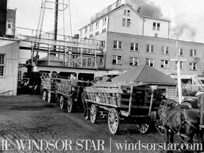 Horse drawn wagons and tomatoes at the Leamington Heinz facility. (The Windsor Star-FILE)