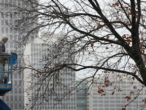 Alec Ridley of Tucker Electric had less than ideal weather to string Christmas lights last year on  Nov. 14, 2011, along the downtown riverfront. (DAN JANISSE/The Windsor Star)