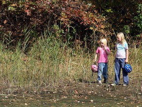 Emily (L) and Jocelyn (R) Girard stroll Ojibway Park in Windsor, Ont. during the park's annual Fall Colour Festival in this 2006 file photo. (Nick Brancaccio / The Windsor Star)