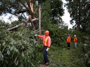 Workers from EnWin Utilities inspect a fallen tree branch after a storm in this 2011 file photo. (DAX MELMER/The Windsor Star)