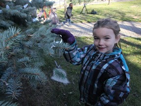 General Brock Public School student Delaney Redmond hangs a handmade decoration on the Christmas tree next to the Mackenzie Hall Cultural Centre on Sandwich Street in Windsor, Ont. on November 27, 2012.  The tree has been decorated with help from the Windsor Fire Department during preparation for the upcoming annual Santa Claus Parade.  (JASON KRYK/ The Windsor Star)