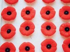 Poppies are seen in this file photo. (Richard Marjan/Postmedia News)