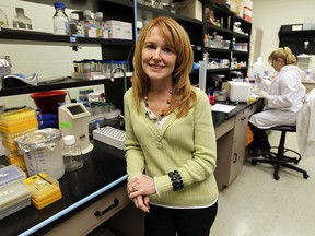Dr. Lisa Porter is photographed in her lab at the University of Windsor in WIndsor on Monday, November 19, 2012. Porter is the director of the recently formed Windsor Region Cancer Group.  (TYLER BROWNBRIDGE / The Windsor Star)