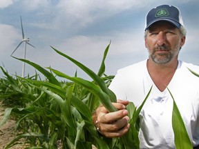 Leo Guilbeault is pictured in his crop of corn on June 29, 2012.  (DAX MELMER/The Windsor Star)
