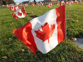 Canadian flags line the rows of veterans graves in the Heavenly Rest Cemetery in Windsor, The flags are placed out every year in preparation of Remembrance Day. (TYLER BROWNBRIDGE / The Windsor Star)