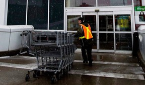 A grocery store employee brings in shopping carts in Toronto on Feb. 18, 2009.(Canadian Press files)