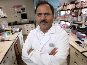 Dr. Siyaram Pandey is one of the team leaders in Phase 1 of the clinical trials of dandelion root extract as a possible cancer killer. Health Canada approved the trials Friday. (DAN JANISSE/The Windsor Star)