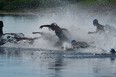 Ironman triathlons begin with a 2.4-mile swim, followed by a 112-mile bike ride and 26.2-mile run. (RICHARD MARJAN / Postmedia News files)