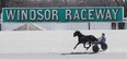 A view of the track at Windsor Raceway where a horse taken through its paces in a sulky, or harness on March 14, 2012. (Dan Janisse / The Windsor Star)