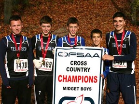 The Tecumseh Vista midget boys cross-country team, from left to right: Jonathan Taylor, Alex Orshinsky, Nicholas Orshinsky, David Collins and Mitchell Ubene took team gold at OFSAA.