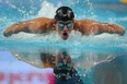 Ryan Lochte of USA competes in the Men's 100m Individual Medley Final during day five of the 11th FINA Short Course World Championships at the Sinan Erdem Dome on December 16, 2012 in Istanbul, Turkey.  (Photo by Clive Rose/Getty Images)