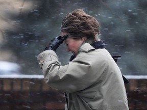 A pedestrian shields herself from the wind and snow Friday, Dec. 21, 2012, in downtown Windsor, Ont.