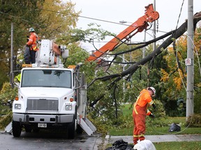 Enwin technicians work to remove a large fallen tree branch Oct. 18, 2012, in the 200 block of St. Rose Ave. in Windsor. (Windsor Star files)